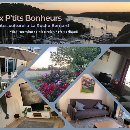 Aux Petits Bonheurs, Gites Culturel A La Roche Bernard Ferel Exterior photo
